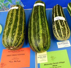 melsonby show, 2013 1a