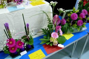 Melsonby show. 2014 150a