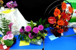 Melsonby show. 2014 151a