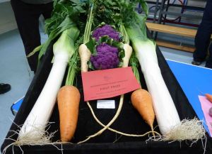 Melsonby show. 2014 206a